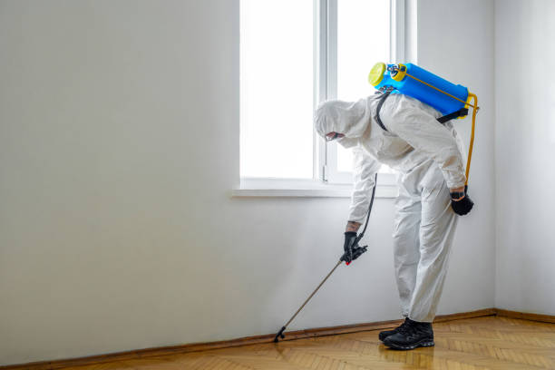 Best Pest Prevention Services  in Vienna Bend, LA
