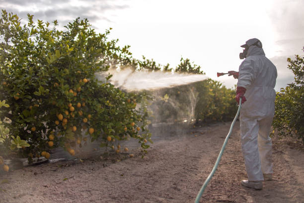 Best Wasp Removal Services  in Vienna Bend, LA