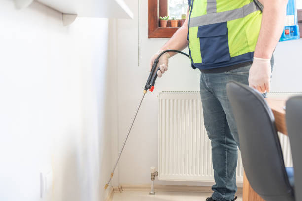 Wasp Removal Services in Vienna Bend, LA