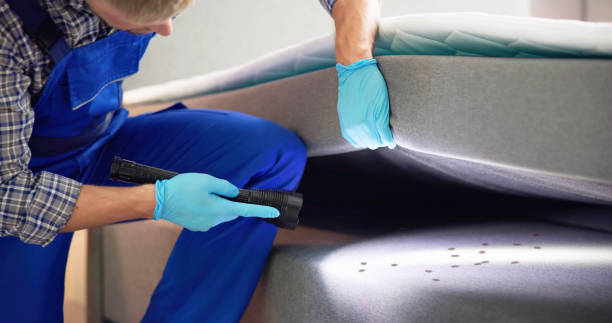 Best Local Pest Control Services  in Vienna Bend, LA