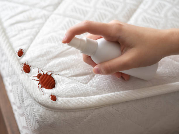 Best Pest Removal Services  in Vienna Bend, LA