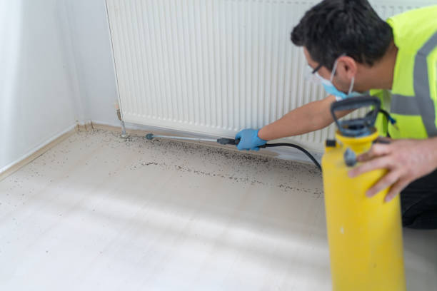 Best Bed Bug Extermination  in Vienna Bend, LA