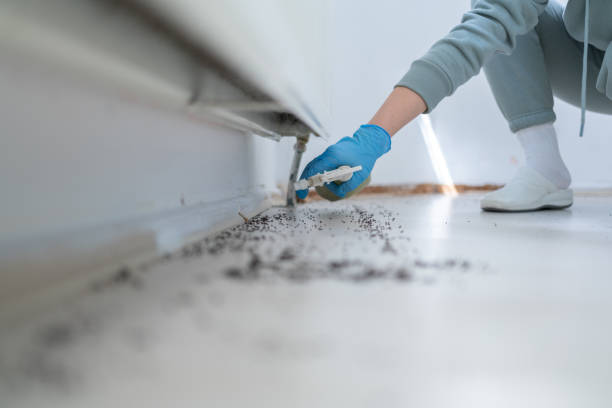 Pest Prevention Services in Vienna Bend, LA